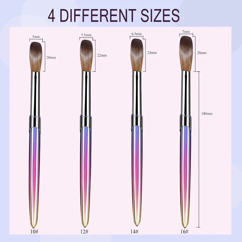 4pcs Kolinsky Acrylic Nail Brush Set Size 10/12/14/16 for Acrylic Powder Application Brushes Art Extension & Carving Salon Home